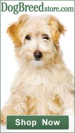 Promo for DogsBreed.com
