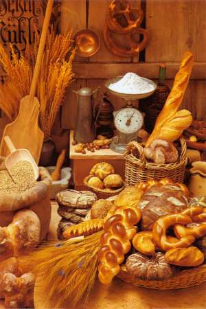 Brotstube