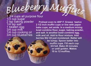 Baked Blueberry Muffins Recipe