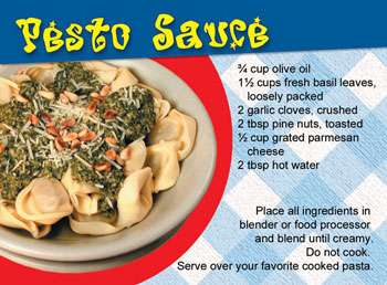 Pesto Sauce Recipe