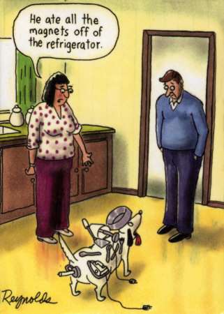 He Ate All the Magnets