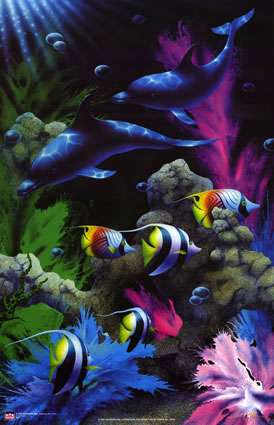 Vivid