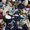 Trail Mix can be placed in a jar already mixed up or it can be layered in the jar. The jar can then be tied with a bow and decorated for gift giving.