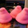 Peeps are marshmallow candies, sold in the US and Canada, that are shaped into chicks, bunnies, and other animals. There are also different shapes used for various holidays. Peeps are used primarily to fill Easter baskets. 