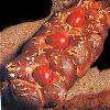 Rich brioche-like breads (often braided) are known by various different Greek names that represent three major holidays for Greeks: Easter, Christmas and New Year's. There are many local varieties of these festive breads, based around the use of milk (instead of water) for kneading the flour, eggs, 